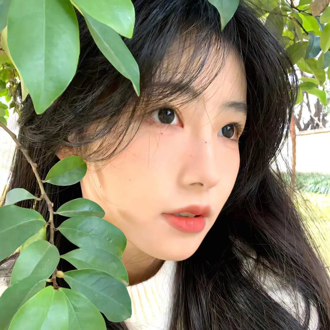 格杀勿论