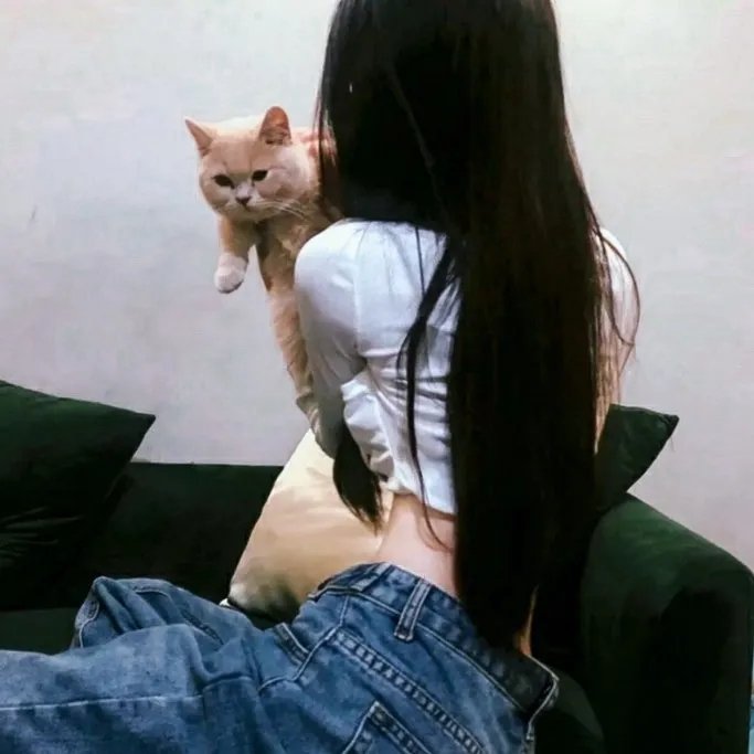 别对我的女人出手